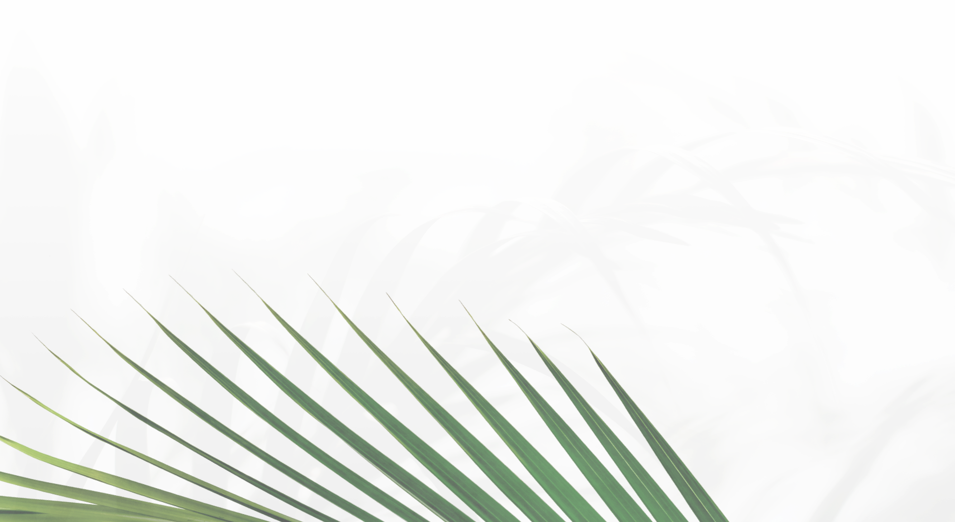 Le Parc